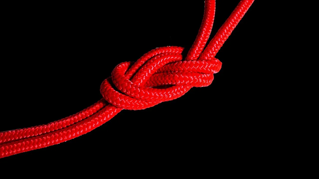 Deux cordes rouges nouées l’une à l’autre, sur fond noir